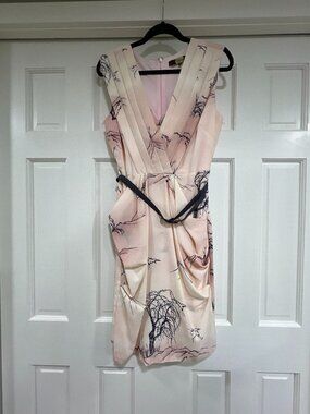 Eva Franco Pink Landscape Print Draped Dress | Belted with Pockets | Size 10